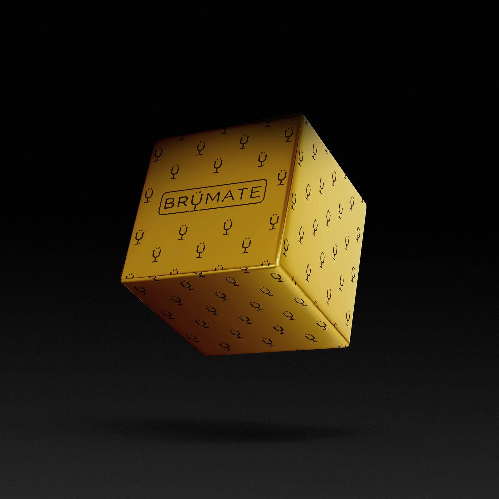 Premium Mystery Item ($39-70 Value) Z4